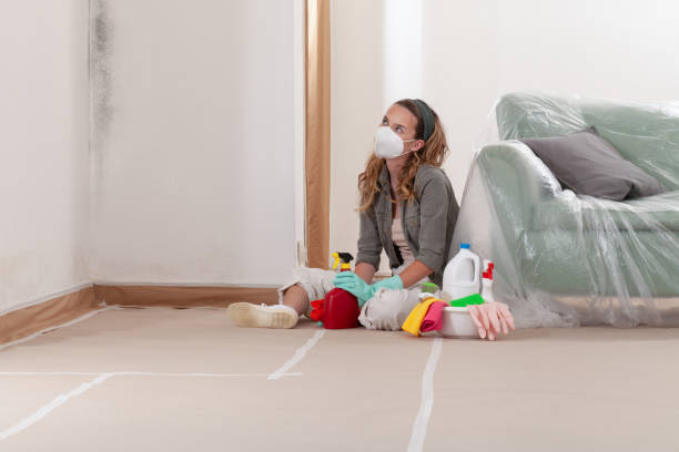 Reliable Mold Remediation contractor in South Bend, WA by 24 Hour Mold Removal